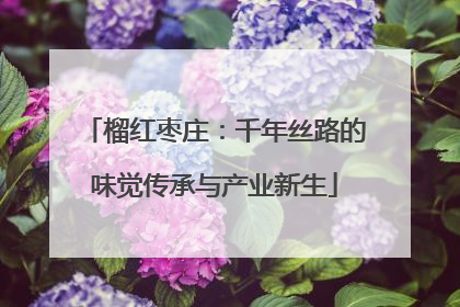 榴红枣庄：千年丝路的味觉传承与产业新生